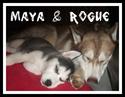 Rogue & Maya
